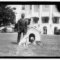 Wilson Jackson